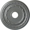Ekena Millwork Dublin Ceiling Medallion (Fits Canopies up to 5 1/8"), 17 7/8"OD x 3 5/8"ID x 1 1/4"P, Platinum CM17DUPLS - alternate 1